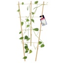 БАМБУКОВАЯ ЛЕСТНИЦА, ТРОЙНАЯ ОПОРА ДЛЯ РАСТЕНИЙ, 60 см