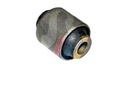 SILENCIEUX DE LIVIER HONDA RTS photo 2 - milautoparts-fr.ukrlive.com