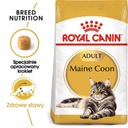 Royal Canin Maine Coon Adult karma sucha dla kotów dorosłych rasy maine ...