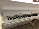 Самый большой выбор БЕЛЫХ пианино от Stroiciel!