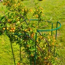 Stalowa podpora do kwiatów 45cm Metalowa zielona podpórka do roślin 3sztuki