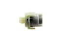 PUCE ALLUMAGEphoto 9