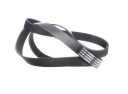RIDEX 305P0319 COURROIE EN V MULTICANAL VERS OPEL FRONTERA A SUV (U92)photo 11