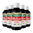 Vanilkový extrakt Vainilla Molina 250ml Značka inny
