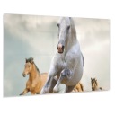 Кухонная панель Закаленное стекло 90х70 Без клея