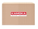 KAMOKA F305701 FILTRO COMBUSTIBLES 
