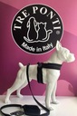 Шлейка для маленькой собаки 34-44см Мальтийский йорк TRE PONTI черная ДЫШАЩАЯ