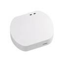 Умный шлюз Zigbee WOOLLEY Hub ZigBee Gateway