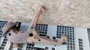BRAS DE SUSPENSION ARRIÈRE DROIT MERCEDES VITO I W638 2.3Dphoto 10