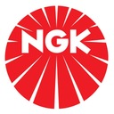 NGK irídiová zapaľovacia sviečka CR9EIX Veľkosť kľúča 16 mm