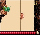 Donkey Kong Land III — игра для консоли Nintendo Game boy Color — GBC.