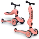 SCOOT AND RIDE Highwaykick Jeździk i Hulajnoga dla Dzieci 2w1 1-5 lat