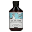 Davines Well-Being Hydratačný šampón 250ml Objem 250 ml