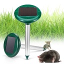 САМЫЙ БОЛЬШОЙ ОТПУСКАТЕЛЬ КРОТОВ ПОЛЕВКИ СОЛНЕЧНЫЙ 2 ШТ.