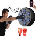 ТРЕНАЖЕР ПО БОКСУ ДЛЯ НАСТЕННОГО КРЕПЛЕНИЯ, RGB MUSIC