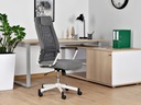 Вращающийся офисный стул, офисный стул ergo design