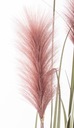 Пампасное травяное растение розовое искусственное украшение