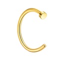Титан, золото Уплотнительное кольцо в носу Oring Nostril Nose Flap 1.0/8