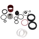 КОМПЛЕКТ ROCKSHOX AM SVC 200 ч/1 год CHRC DPA S ZEB