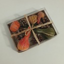 ŐSZI ASZTALI DEKORÁCIÓ MELEG INTENZÍV SZÍNEK 10 DB TÖK TOBOZ Típus különböző típusok