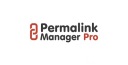 Плагин Permalink Manager Pro