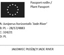 CREING JINIPER JADE RIVER SCARPES ПОСАДЫ P9