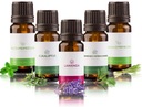 ЭФИРНЫЕ МАСЛА ДЛЯ САУНЫ АРОМАТЕРАПИЯ НАБОР 5 x 10 мл шт. 2
