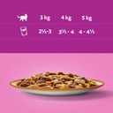 WHISKAS KOLEKCE VENKOVSKÝCH PŘÍCHUTÍ V OMÁČCE 4x340g Váha výrobku 1.36 kg