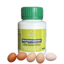 Витамины для кур-несушек для воды TROUWIT Multivitaminer мультивитамин100 мл