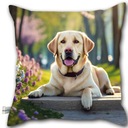 Декоративная подушка 40х40 / Подушка с собакой / Лабрадор ретривер