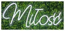 LED INSTRUCTION LED LOVE неоновая подсветка 70х30см