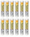 Smar Shell Gadus S2 V100 2 400g 12XKARTUSZY
