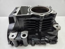 BMW R 1250 GS RT RS R 18-24 ЦИЛИНДР БЛОК КАРТЕР 8358713 A74B12M  фото 8