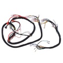 УСТАНОВКА ОСНОВНОГО ЖГУТА ПРОВОДОВ QUANTUM LONGIJA 2T QT4