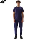 Мужские спортивные штаны 4F Sports Joggers M603 Спортивный костюм с кулиской L