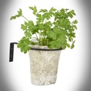 Uchwyt doniczkowy stalowy ścienny 13 cm CZARNY