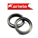 САЛЬНИКИ ARIETE TCL 43X54X9,5/10,5