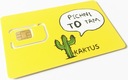 Чешская SIM-карта Чешская стартовая SIM KACTUS 100 Kc - 1 ГБ