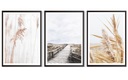 НАБОР 3 А3 30,00 x 40,00 см ПОСТЕР МОДНАЯ КАРТИНА БОХО Тростник ПРИРОДА