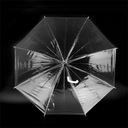 Прозрачный зонт Белый свадебный зонт