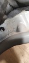 CHARNIÈRE CAPOTS GAUCHE DROIT ENSEMBLE 2 PIÈCES PEUGEOT 407 COUPÉ 9648589480 9648589380photo 5