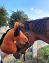 Hobby Horse Duży koń na kiju Premium - jasnogniady A3 Marka inna