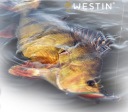 Гумовий Westin 9Cm