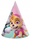 Шапки на день рождения из 6 предметов Paw Patrol Skye