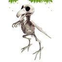 1 szt. Halloweenowy szkielet kruka Halloween Marka Inna