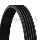 BELT WEDGE MULTI-RIBBED CONTINENTAL CTAM 5PK1130 photo 1 - milautoparts-fr.ukrlive.com