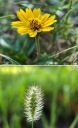 ЧЕХОЛ MACRO CPL APEXEL LENS 100MM ДЛЯ ДЕРЖАТЕЛЯ СМАРТФОНА ЧЕХОЛ ДЛЯ ТЕЛЕФОНА