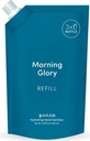 HAAN Morning Glory náhradná náplň do antibakteriálneho spreja 100 ml Forma kvapalina