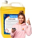 NERTA Interior Cleaner do dywanów i tapicerki 5l