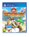 Wonder Boy: Asha v Monster World (PS4) Druh vydania Základ